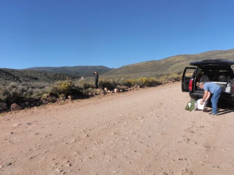 10700630_10203904025194017_5559190099481080526_o