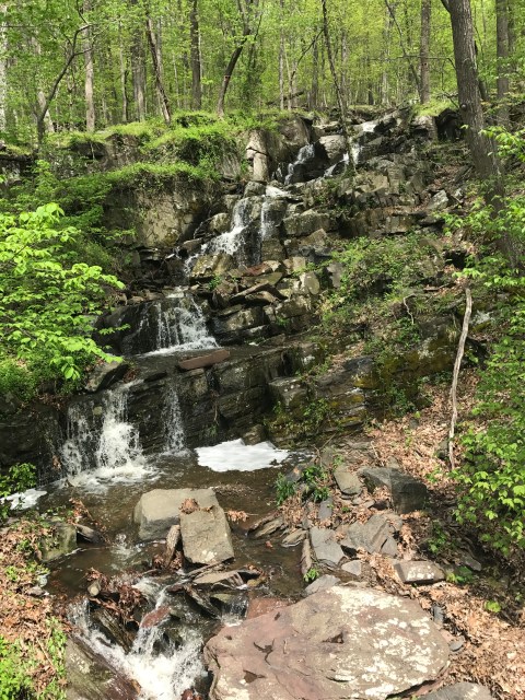 Photo Apr 29, 1 54 11 PM