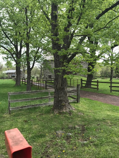 Photo Apr 29, 11 28 14 AM