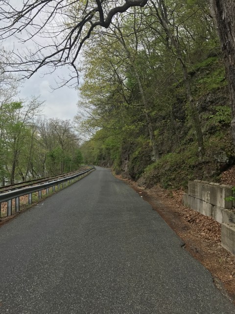 Photo Apr 29, 12 01 44 PM