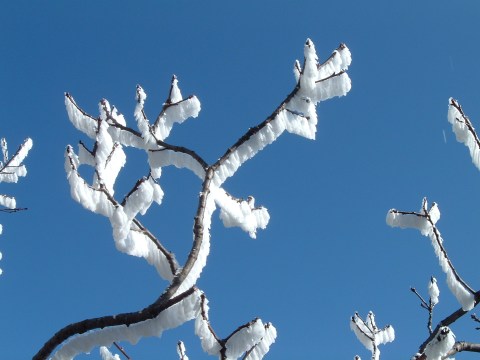 2005_0227MtLakeBPack050011