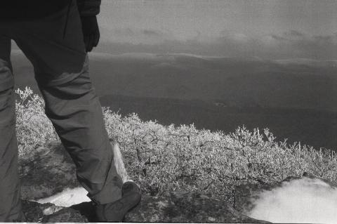 ph1291862673027669771