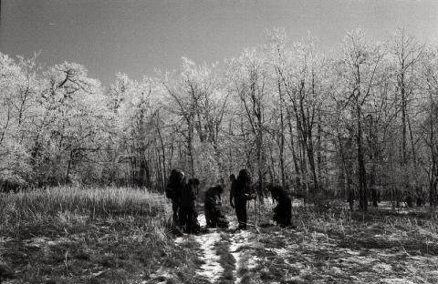 ph1291862979027669771