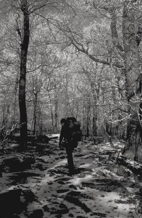 ph1292952894027669771